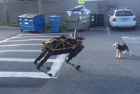 Pes vs. čtyřnohý robot Googlu: Kdo s koho?