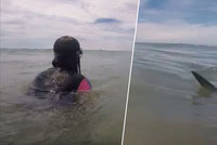 Obrovská ploutev na pravoboku! Otec a dcera plavali v moři, když se k nim připojil žralok