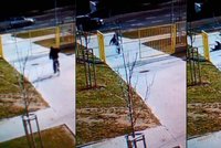VIDEO: Zloděj v Plzni ukradl kolo, vyjel a...předvedl olympijský držkopád