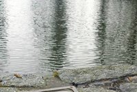 Vodohospodáři našli „poklad“. Ztracenou bronzovou tabulku objevili při čištění koryta řeky