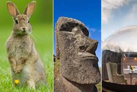 Kuriózní sváteční cestování: Velikonoční ostrov, země králíků, či bydlení ve vajíčku!