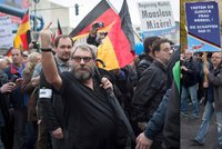 Příliš radikální i pro německou pravici. AfD rozpustila svaz v Sársku