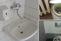 Průzkum záchodků v pražských zdravotnických zařízeních: Kde to smrdí, chybí papír nebo mýdlo?