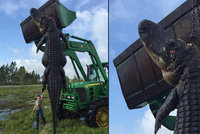 Lovci zabili obřího aligátora: Monstrum terorizovalo farmu