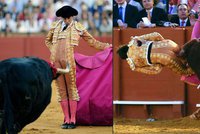 Brutální korida: Býk napíchl mladého matadora! Trefil se přímo do zadku