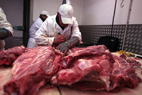 Nelegální bourárna masa na Bohdalci: Inspektoři zajistili tunu a čtvrt hovězího