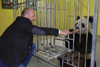 Ředitel pražské zoo Miroslav Bobek navazuje kontakty v Číně: Vyhlíží pandy pro Prahu?
