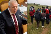 Chovanec po akci Koridor: Němci plašili, nelegální migranti Česko nevyužívají
