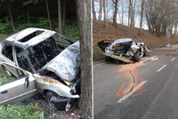 Smrtelná nehoda na Mladoboleslavsku: Dva muži nepřežili náraz auta do stromu