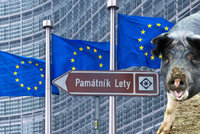Evropo, nedotuj prasata v Letech, žádají aktivisté. Komise nic nezmůže