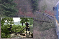 Osobní vlak narazil na Hodonínsku do stromu, který „podťala“ bouřka! Hasiči museli zachránit 27 lidí