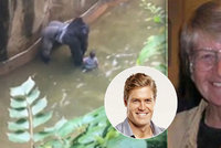 Odbornice na zvířecí chování: Gorilí samec by na dítě nezaútočil. Věděl, že je bezbranné
