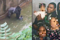 Babička kluka, který spadl do výběhu v zoo: Gorilu nemuseli zastřelit!