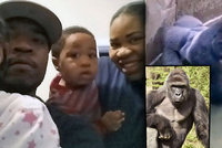 Rodiče chlapce, kvůli kterému zastřelili gorilu: Vyhrožují jim smrtí