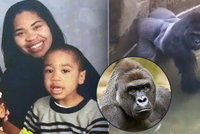 Za smrt gorily rodiče nemůžou! Prokuratura neobviní matku, jejíž dítě spadlo do výběhu