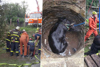 600kilového koně ze studny na Opavsku zachránili hasiči: Z hloubky 8 metrů ho tahal vyprošťovací vůz