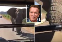 Terminátora Arnolda Schwarzeneggera vyděsil slon, který na něj útočil na safari