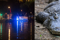 Konec nadějím: Batole, které odvlekl aligátor, našli mrtvé