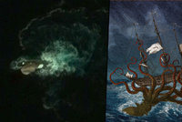 Satelity vyfotily u Antarktidy záhadného tvora: Je to kraken?!
