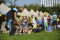 Víkendové psí dostaveníčko na Pankráci: PesFest proběhne už popáté