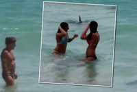 Mladík se převlékl za žraloka a děsil lidi v moři i na pláži!