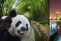 Čínské Čcheng-tu je víc než jen pandy! Pravěké obětiště a show, při které nevěříte svým očím