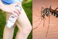 Pozor, komáři útočí! Proč vlastně bodají a proč jejich štípance svědí?