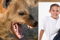 Spícího chlapce (15) vytáhla hyena za obličej ze stanu, potrhala mu svaly a zlámala kosti