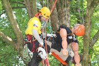 Soutěž v lezení po stromech: Nejlepší stromolezci Evropy se utkají ve Stromovce