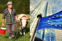 Konec šikany malých zemědělců? EU si došlápne na velké obchodní řetězce