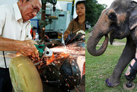 Doktor dělá protézy slonům, kterým miny utrhly nohy. Musí unést 600 kilo živé váhy