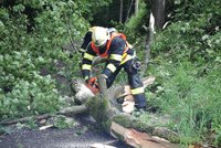 Bouřky pustošily Česko: Táborníka zranil padající strom, lidé jsou bez elektřiny