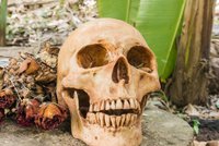 Policie vyšetřuje nález částí lidských těl: Řádí v Lučenci kanibal?