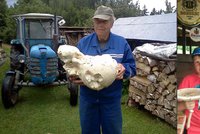 Rostou jako houby po dešti! Na Jablonecku našli raritní vatovec, měřil 150 cm