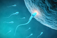 Máte už dost hormonální antikoncepce? Pilulka pro muže sebere spermiím „ocásek“