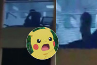 Pokésex! Hráč nachytal při hraní Pokémon Go pár při divoké souloži