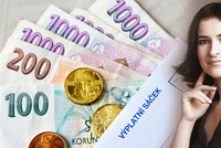 Češi mají menší minimální mzdu než Slováci a Turci. Ekonomka: Podvod na voliče