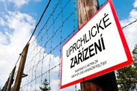 Češi panikaří z uprchlíků, zájem o azyly ale klesá. Největší je mezi Ukrajinci