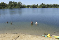 Na Brněnské přehradě se zhoršila kvalita vody: Koupat se v ní ale ještě dá