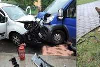 Nehoda aut v České Lípě: Hasiči museli poskytnout první pomoc psovi