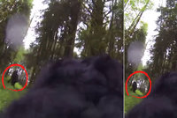 Pes objevil v lese legendárního bigfoota, natočil ho kamerou připevněnou k tělu