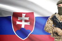 Sousedé Česka se chystají na válku. Slováci posilují armádu, Němci hromadí jídlo