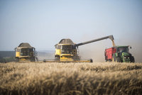 Vystřelí cena potravin? Zemědělci hlásí mizernou úrodu a bude zřejmě hůř