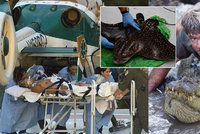 Před 10 lety zemřel lovec krokodýlů! Dobrodruha Steva Irwina probodl rejnok