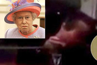 Královna Alžběta II. je vzteky bez sebe: Její strážce šňupal ve službě kokain!
