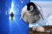 Dovolená »na jiné planetě«: Na Antarktidě byl otevřen pětihvězdičkový hotel!