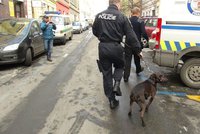 Tragická smrt dítěte na Hradecku: Pětiletého chlapce napadl pes