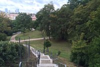 Nové stromy v Praze 2: Těšit se mohou návštěvníci Havlíčkových sadů nebo Folimanky