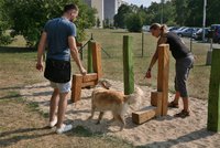 Otestováno, zahájeno: První psí hřiště v Praze 12 funguje na plný provoz