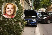 Magda Vášáryová měla nehodu: Její auto porazilo strom rostoucí u chodníku!